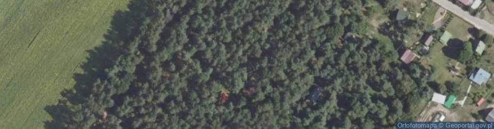 Zdjęcie satelitarne Woroblin ul.