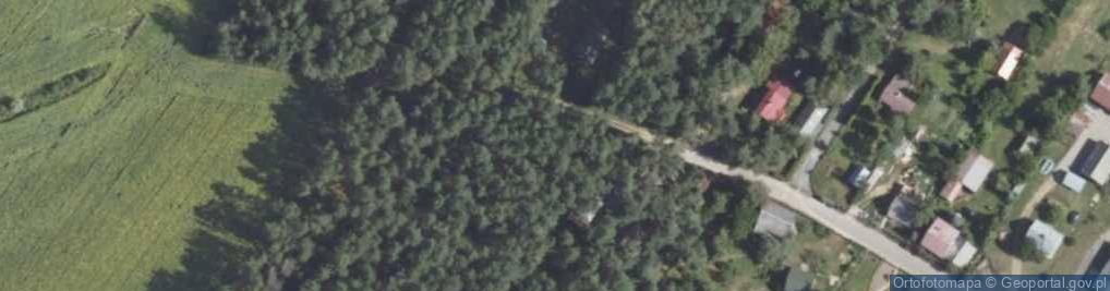Zdjęcie satelitarne Woroblin ul.
