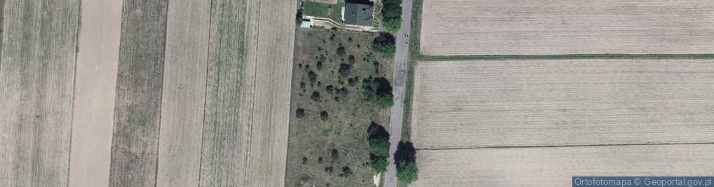 Zdjęcie satelitarne Woskrzenice Duże ul.