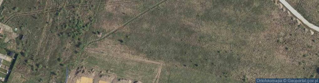 Zdjęcie satelitarne Wojnowicka ul.