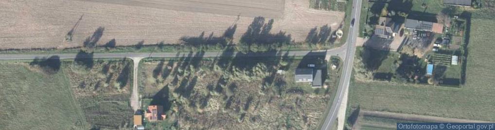 Zdjęcie satelitarne Wróblewo ul.
