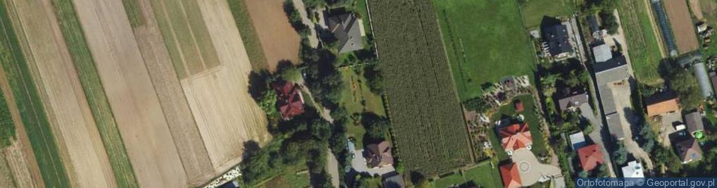 Zdjęcie satelitarne Wspólna ul.