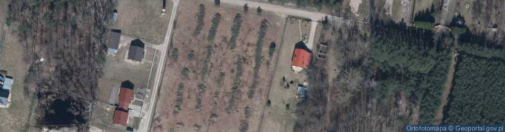Zdjęcie satelitarne Wspólna ul.