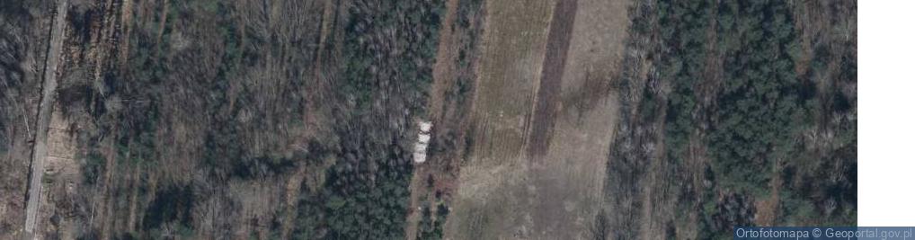 Zdjęcie satelitarne Wspólna ul.