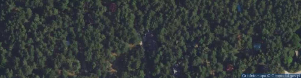 Zdjęcie satelitarne Wspólna ul.