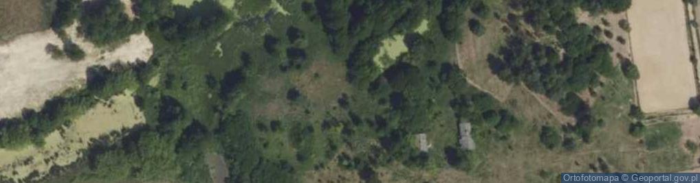 Zdjęcie satelitarne Wspólna ul.