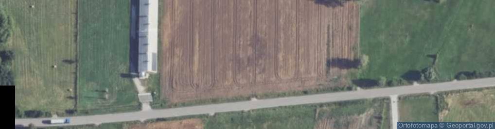 Zdjęcie satelitarne Wspólna ul.