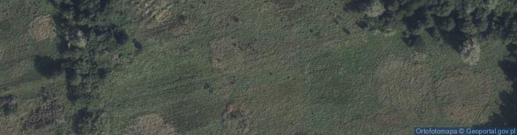 Zdjęcie satelitarne Wspólna ul.