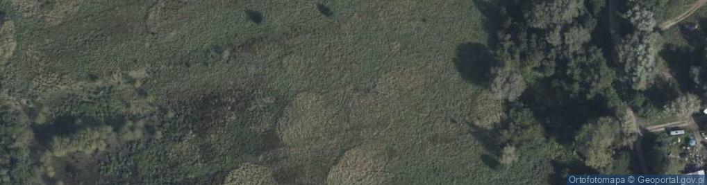 Zdjęcie satelitarne Wspólna ul.