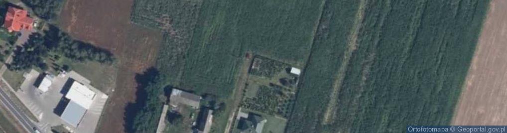 Zdjęcie satelitarne Wspólna ul.