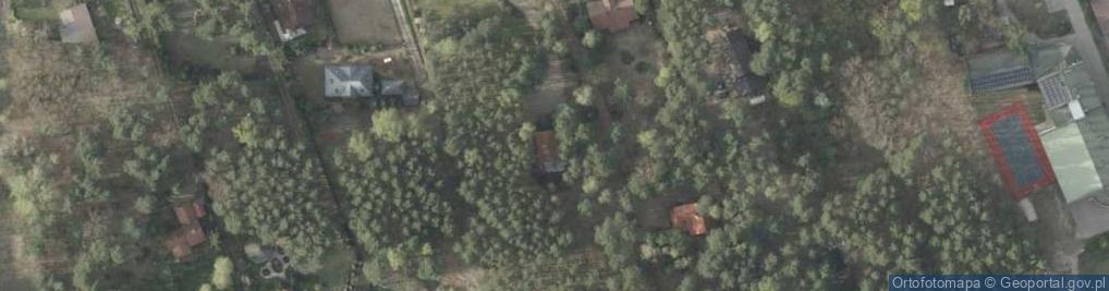Zdjęcie satelitarne Wspólna ul.