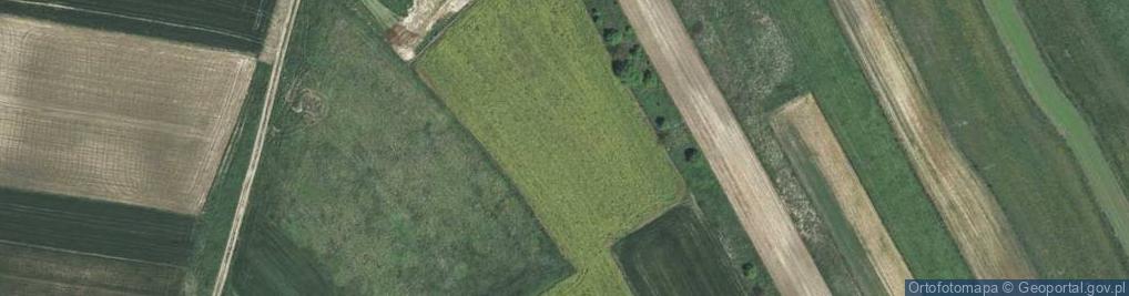 Zdjęcie satelitarne Wspólna ul.