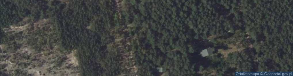 Zdjęcie satelitarne Wspólna ul.