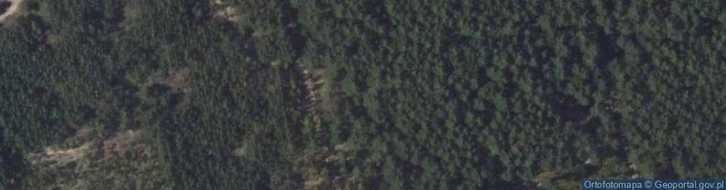 Zdjęcie satelitarne Wspólna ul.