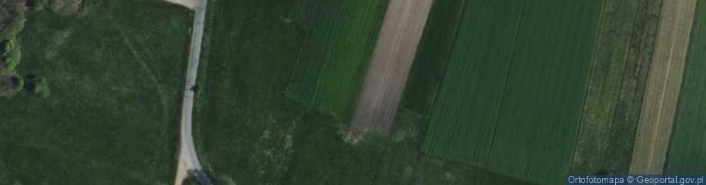 Zdjęcie satelitarne Wspólna ul.