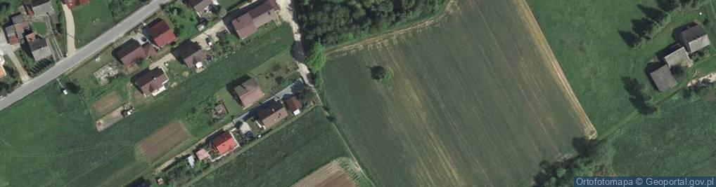 Zdjęcie satelitarne Wspólna ul.