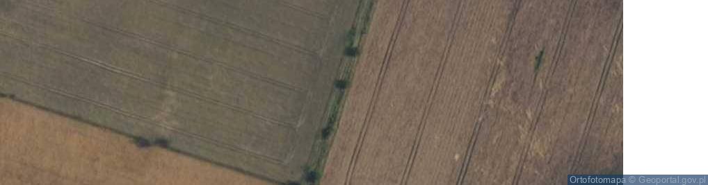 Zdjęcie satelitarne Współczesna ul.