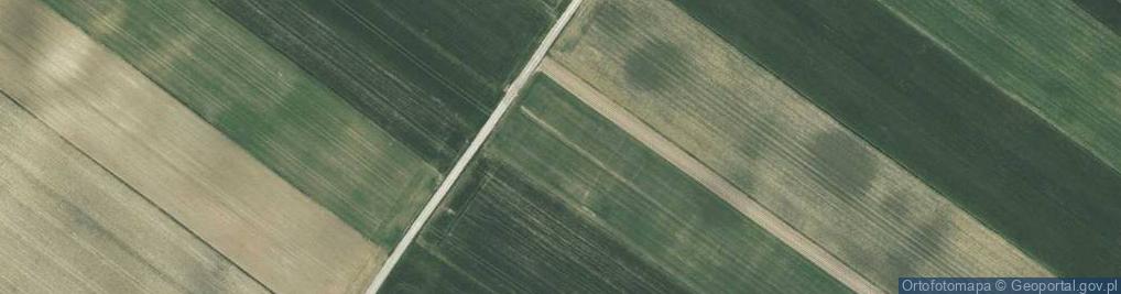 Zdjęcie satelitarne Wspólna ul.