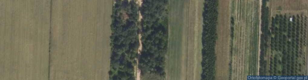 Zdjęcie satelitarne Wspólna ul.