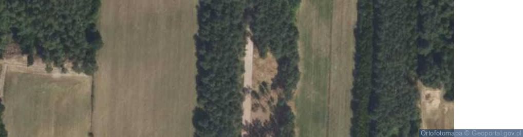 Zdjęcie satelitarne Wspólna ul.