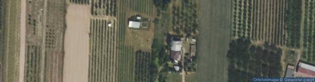 Zdjęcie satelitarne Wspólna ul.