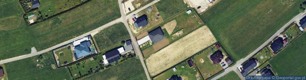 Zdjęcie satelitarne Wyzwolenia ul.