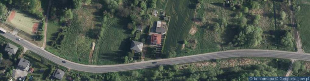 Zdjęcie satelitarne Wyzwolenia ul.