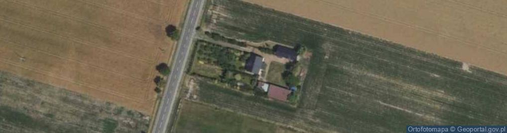 Zdjęcie satelitarne Wyzwolenia ul.