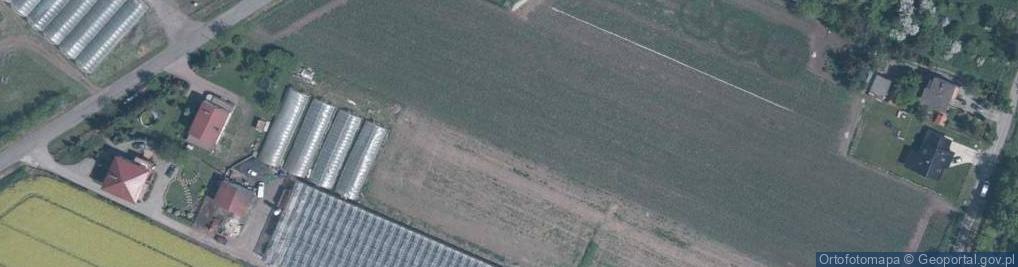 Zdjęcie satelitarne Wygodna ul.