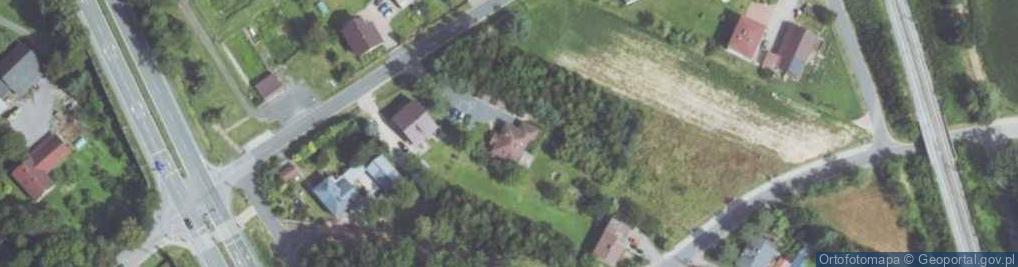 Zdjęcie satelitarne Wyzwolenia ul.