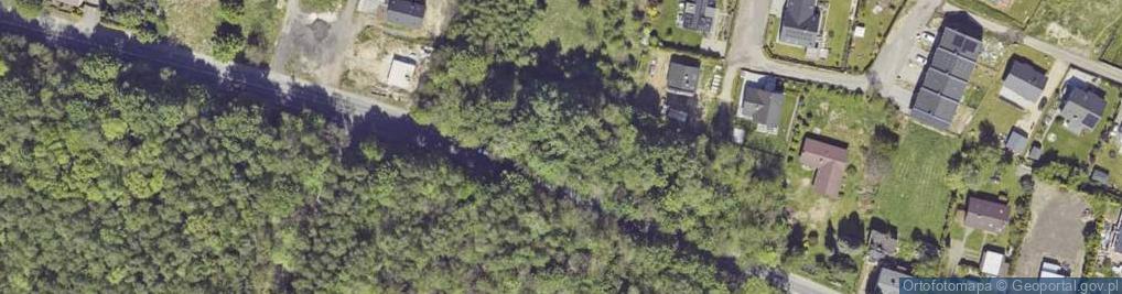 Zdjęcie satelitarne Wyzwolenia ul.