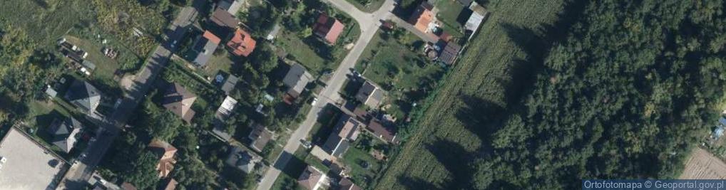 Zdjęcie satelitarne Wyzwolenia ul.