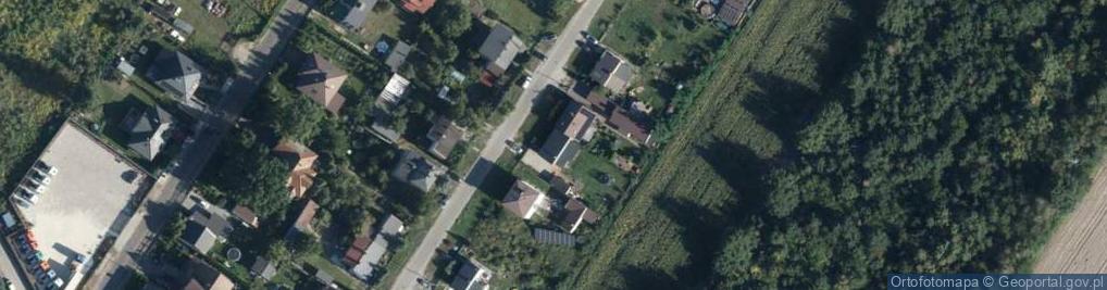 Zdjęcie satelitarne Wyzwolenia ul.