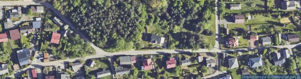 Zdjęcie satelitarne Wyzwolenia ul.