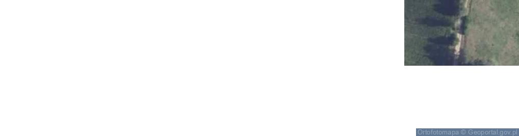 Zdjęcie satelitarne Wykrot ul.