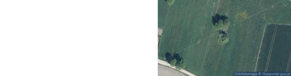 Zdjęcie satelitarne Wyszonki-Posele ul.