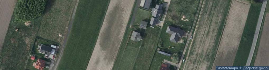 Zdjęcie satelitarne Wyzwolenia ul.