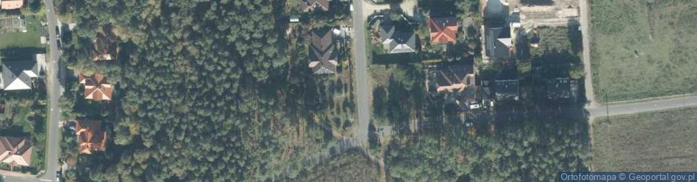 Zdjęcie satelitarne Zapomniana ul.