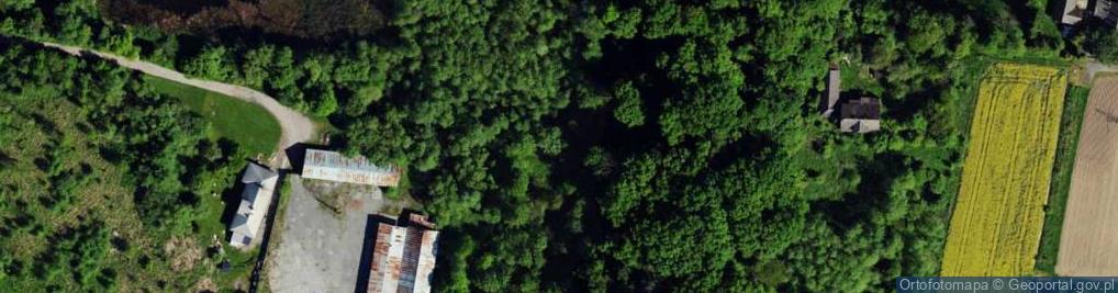 Zdjęcie satelitarne Zachodnia ul.