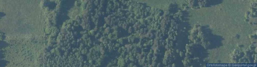 Zdjęcie satelitarne Zagórze ul.