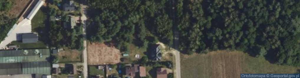 Zdjęcie satelitarne Zawilcowa ul.