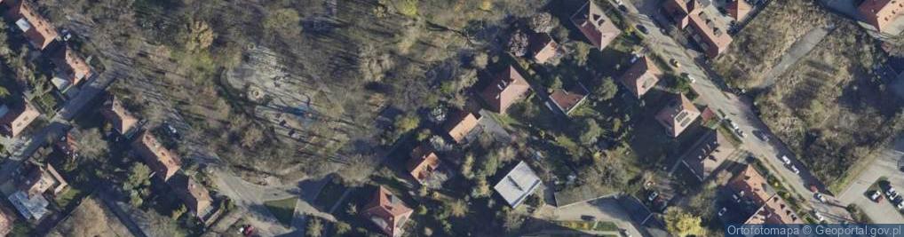 Zdjęcie satelitarne Zawiszy Czarnego ul.