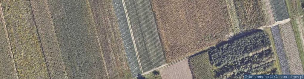Zdjęcie satelitarne Zakręt ul.