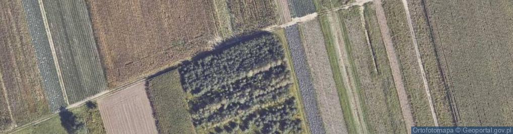 Zdjęcie satelitarne Zakręt ul.