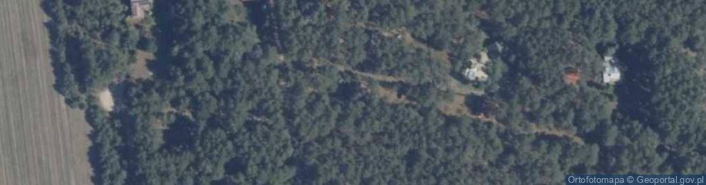 Zdjęcie satelitarne Zagaje ul.