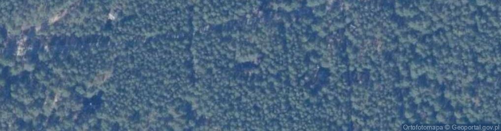 Zdjęcie satelitarne Żabieniecka ul.