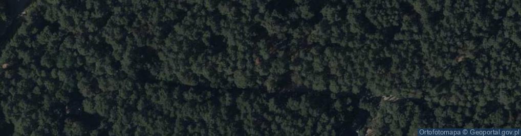 Zdjęcie satelitarne Zamenhofa Ludwika, dr. ul.