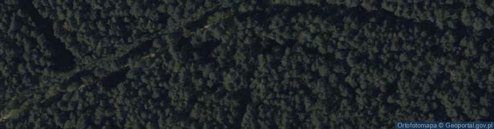 Zdjęcie satelitarne Zaściankowa ul.