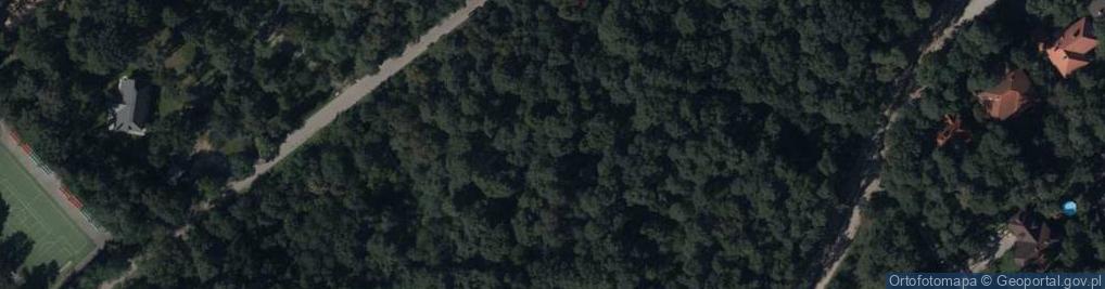 Zdjęcie satelitarne Zaciszna ul.