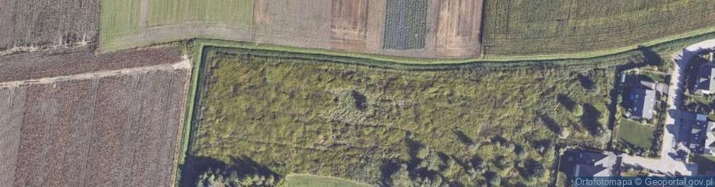 Zdjęcie satelitarne Zachodzącego Słońca ul.